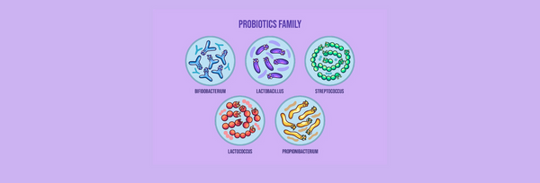 The Role of Probiotics in Skin Health and Related Gut–Skin Axis: A Review