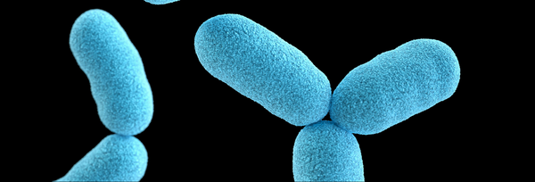 Trifarotene Reduces Risk for Atrophic Acne Scars: Results from A Phase 4 Controlled Study