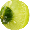 Amla Fruit Extract 