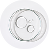 Squalane (olive-derived)